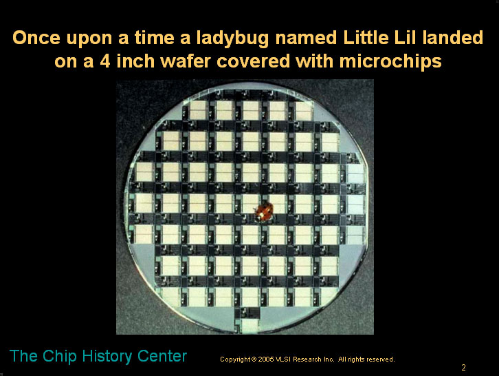 The lady bug and the microchip - A children's story about microns and nanometers