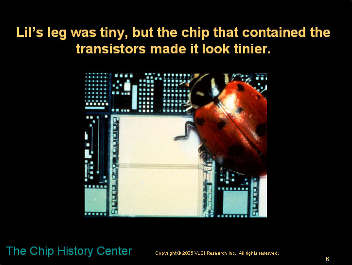 The lady bug and the microchip - A children's story about microns and nanometers