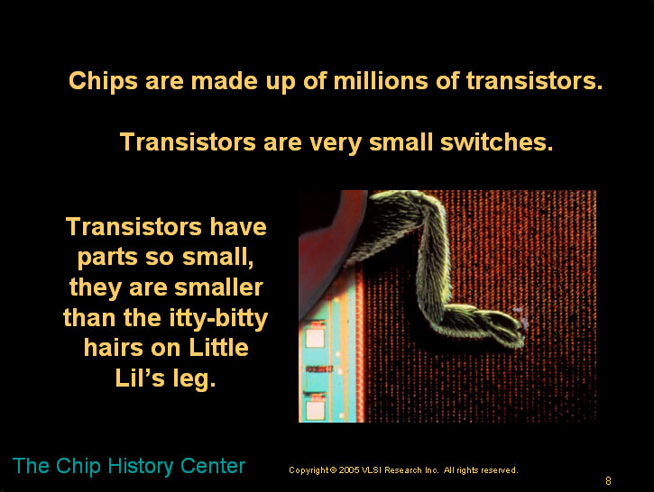 The lady bug and the microchip - A children's story about microns and nanometers