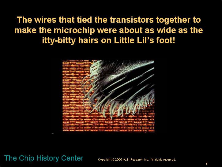 The lady bug and the microchip - A children's story about microns and nanometers