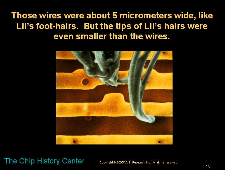 The lady bug and the microchip - A children's story about microns and nanometers