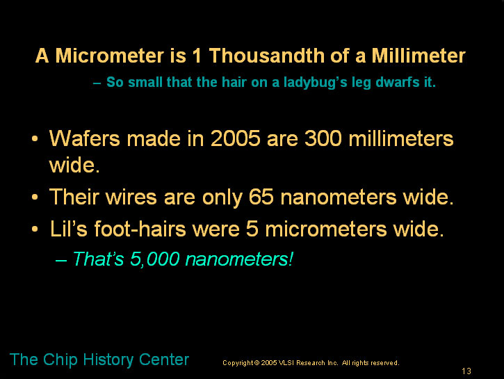 The lady bug and the microchip - A children's story about microns and nanometers